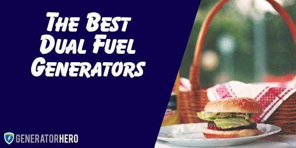 The Best Dual Fuel Generators